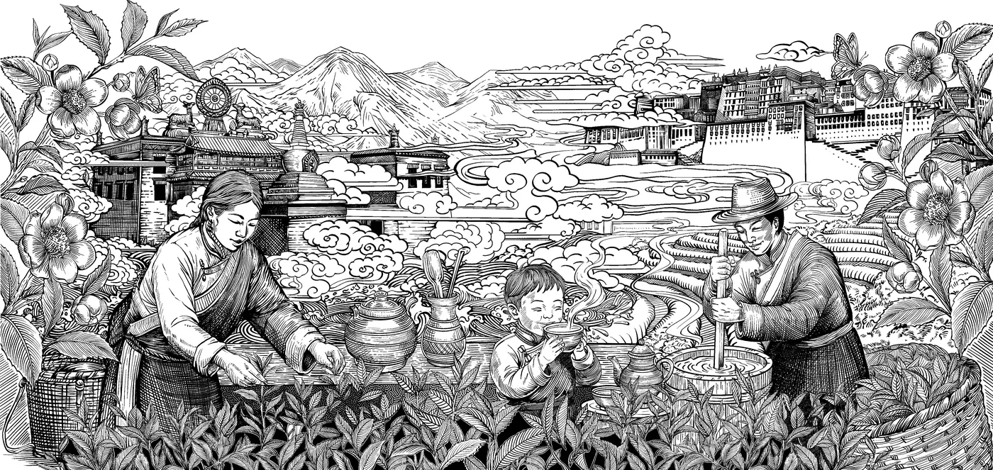 藏茶线描插画作品封面
